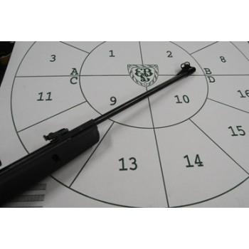 Gamo Hornet .22 With Scope